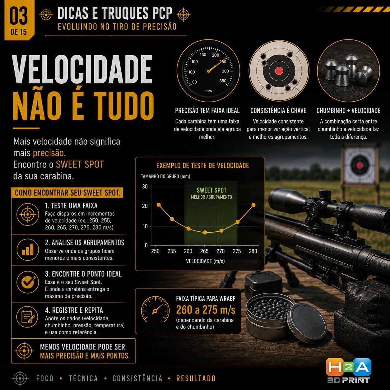Arte 2 da Escola do Tiro